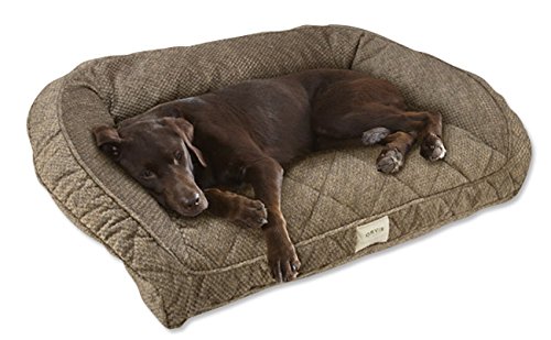 Dog Beds The Smart Dog Guide