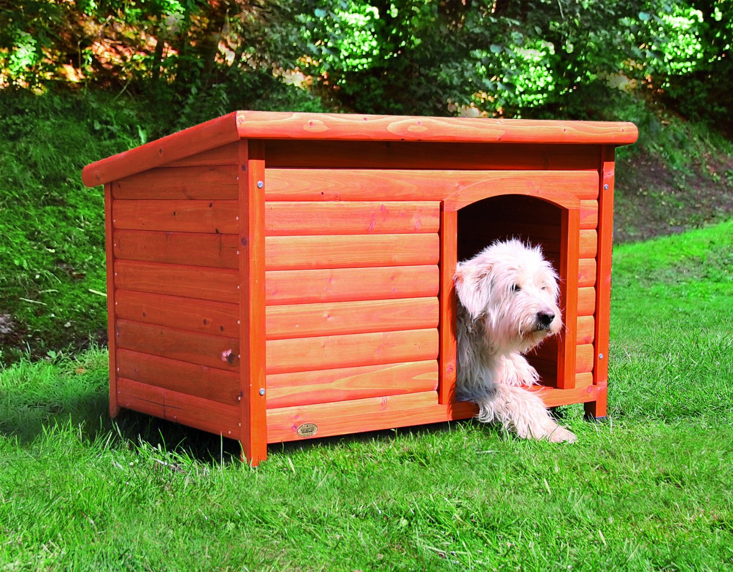 which-kind-of-lumber-is-best-to-build-a-doghouse-the-smart-dog-guide